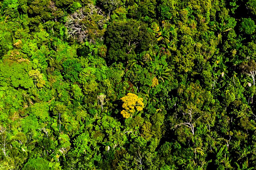 Foto por: Marcos Vergueiro/Secom