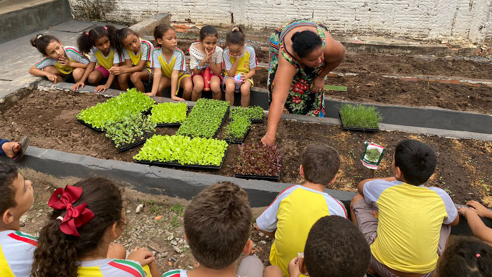 Programa 'Escola Verde' fomenta conscientização e sustentabilidade do ...