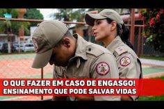 6e6b1c85cf5fb6382930d285ba7810ef-236x157.jpeg