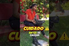 7eafaa00cbcbbbd8a612177fd5d2829e-236x157.jpeg